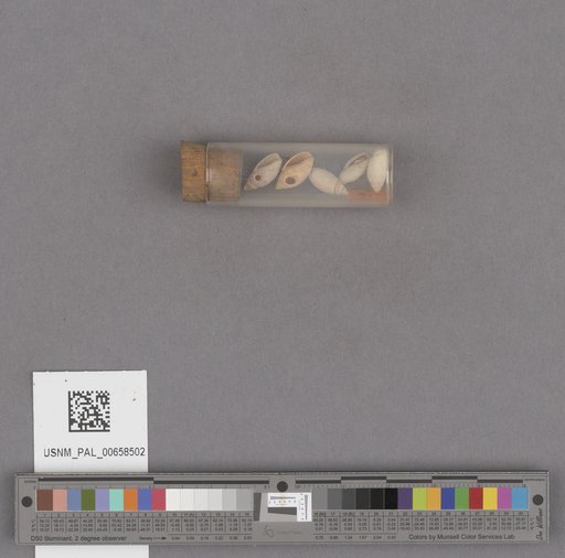 NSF ADBC EPICC TCN
