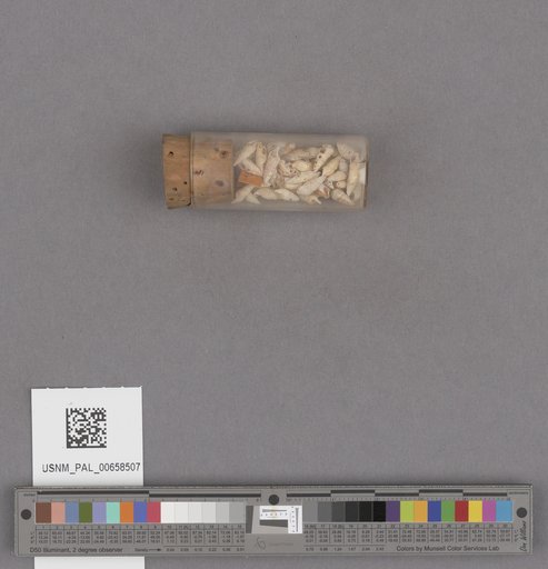 NSF ADBC EPICC TCN