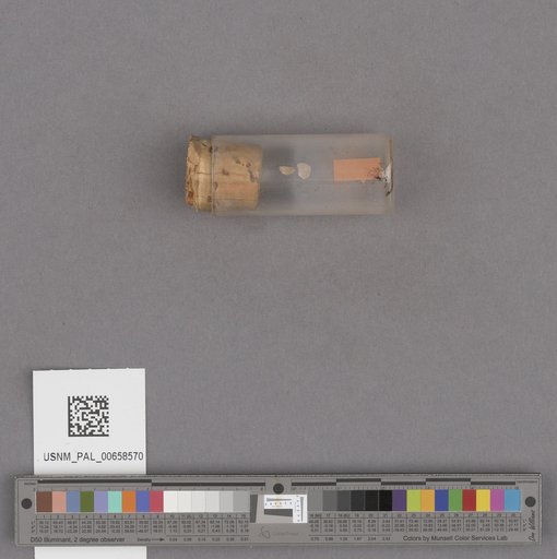 NSF ADBC EPICC TCN