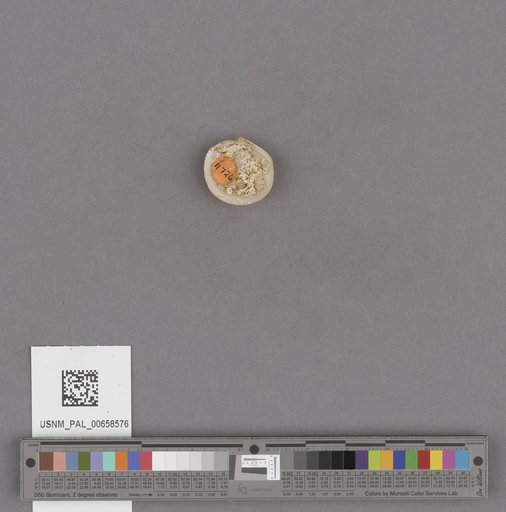 NSF ADBC EPICC TCN