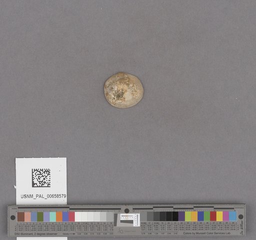 NSF ADBC EPICC TCN