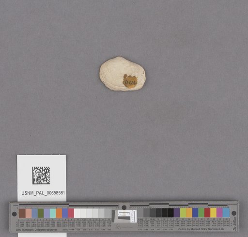 NSF ADBC EPICC TCN