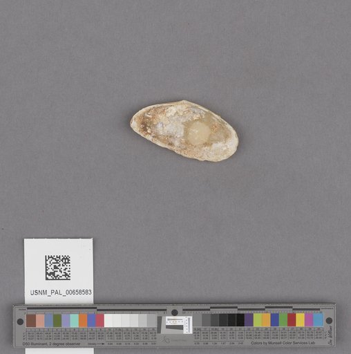NSF ADBC EPICC TCN