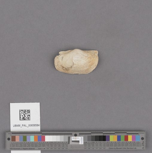 NSF ADBC EPICC TCN