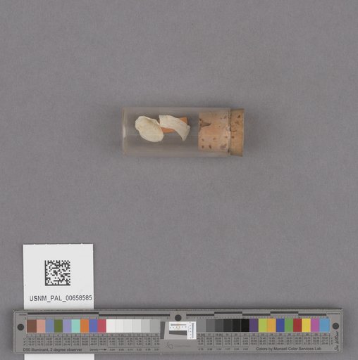 NSF ADBC EPICC TCN