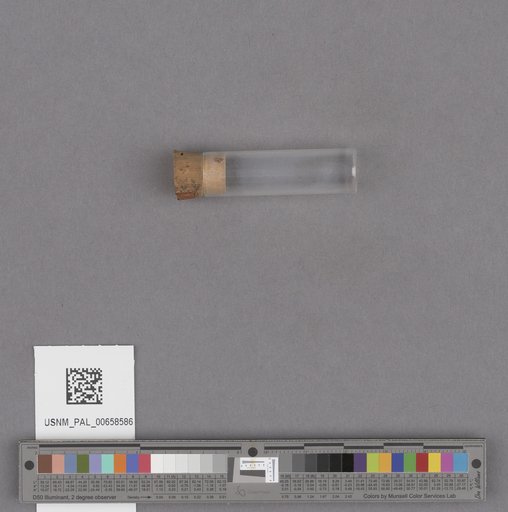 NSF ADBC EPICC TCN