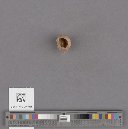 NSF ADBC EPICC TCN