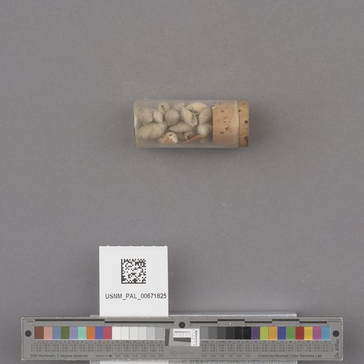 NSF ADBC EPICC TCN