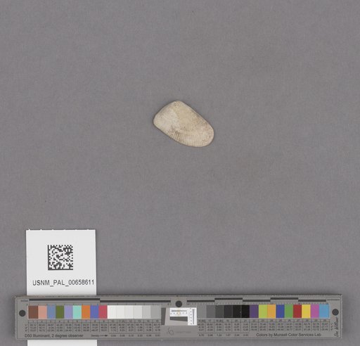 NSF ADBC EPICC TCN