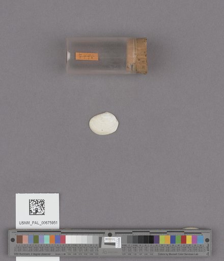 NSF ADBC EPICC TCN