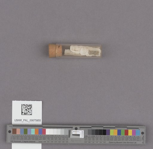 NSF ADBC EPICC TCN