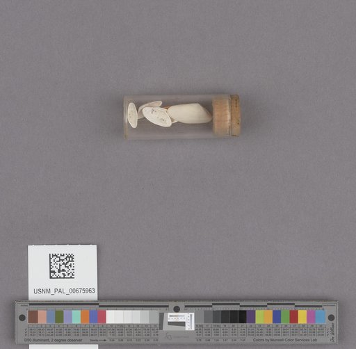 NSF ADBC EPICC TCN