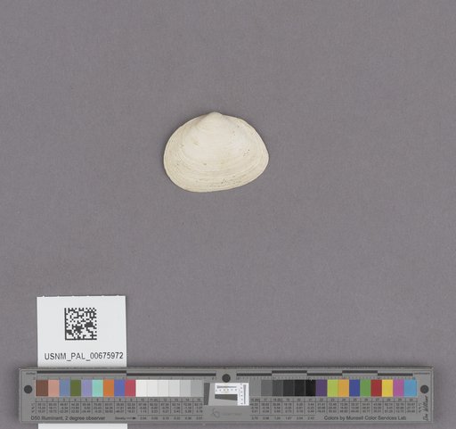 NSF ADBC EPICC TCN