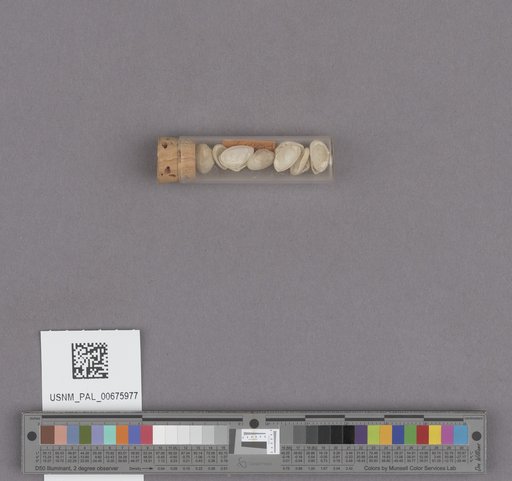 NSF ADBC EPICC TCN