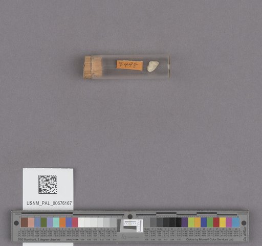 NSF ADBC EPICC TCN