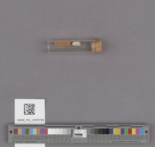 NSF ADBC EPICC TCN