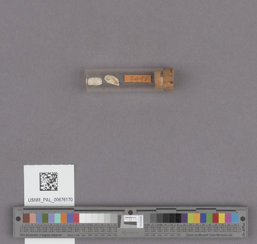 NSF ADBC EPICC TCN