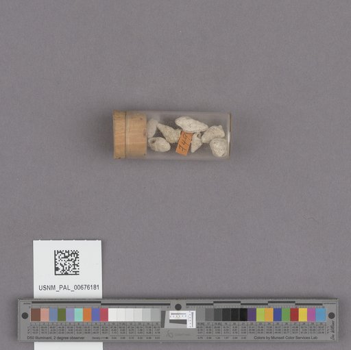 NSF ADBC EPICC TCN