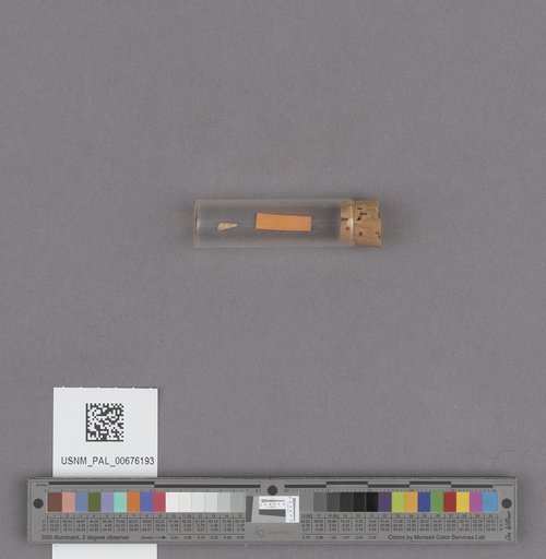 NSF ADBC EPICC TCN