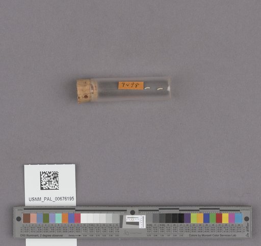 NSF ADBC EPICC TCN