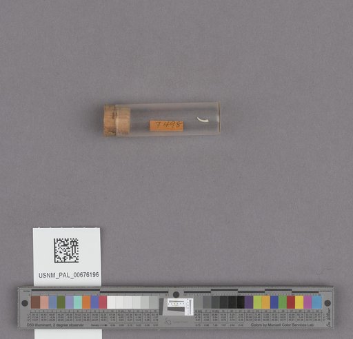 NSF ADBC EPICC TCN