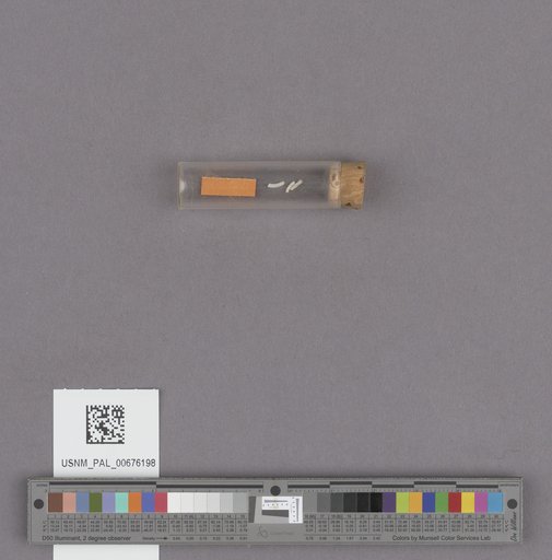 NSF ADBC EPICC TCN