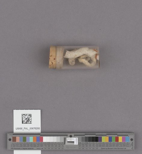 NSF ADBC EPICC TCN