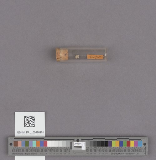 NSF ADBC EPICC TCN