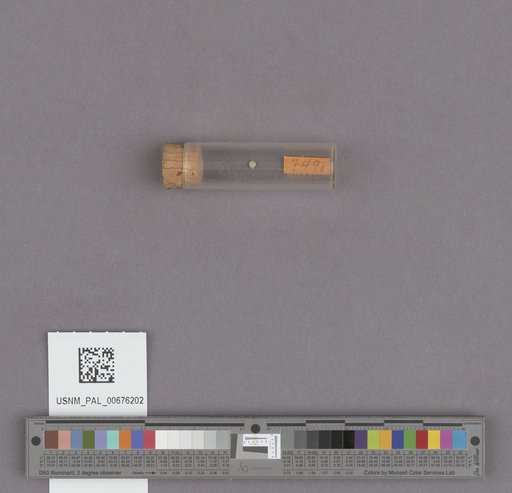 NSF ADBC EPICC TCN