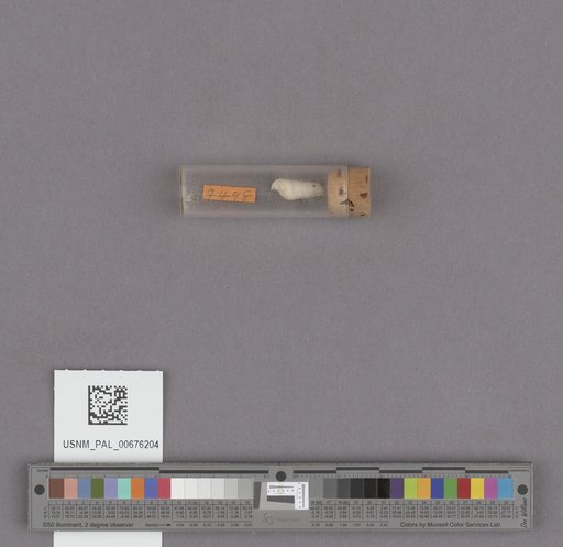 NSF ADBC EPICC TCN