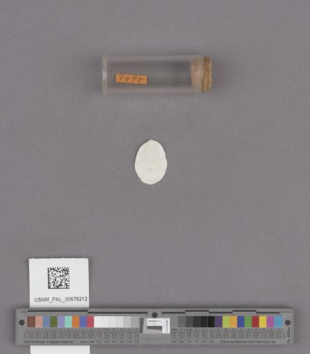 NSF ADBC EPICC TCN