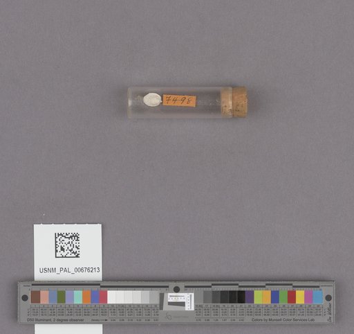 NSF ADBC EPICC TCN