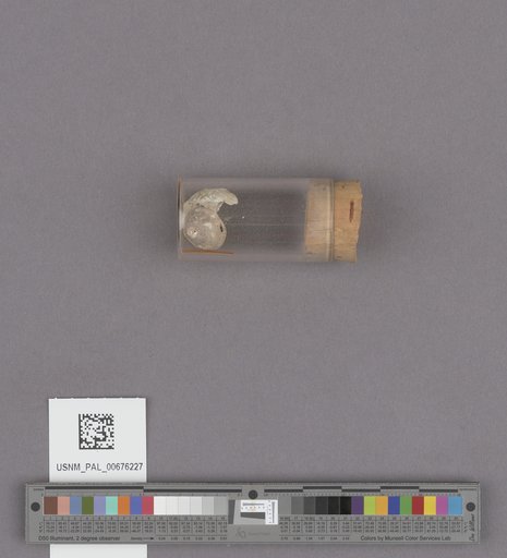 NSF ADBC EPICC TCN