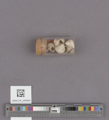 NSF ADBC EPICC TCN