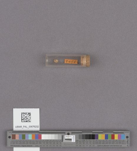NSF ADBC EPICC TCN