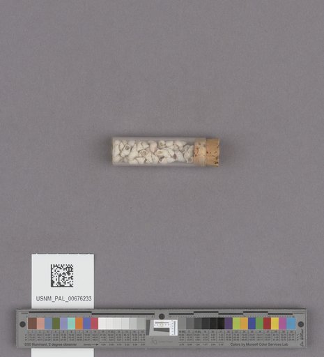 NSF ADBC EPICC TCN