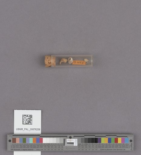 NSF ADBC EPICC TCN