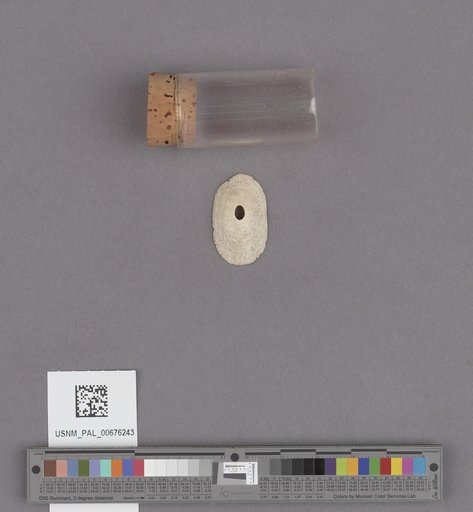 NSF ADBC EPICC TCN