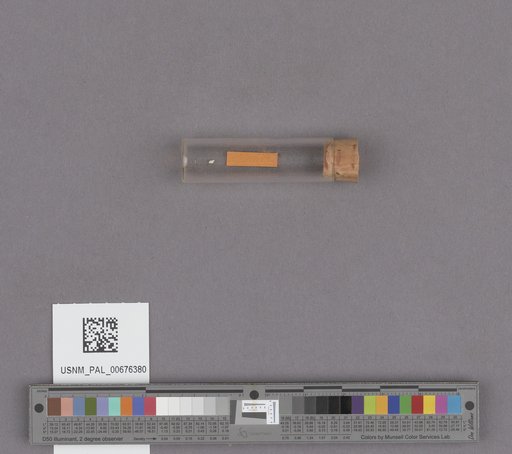 NSF ADBC EPICC TCN
