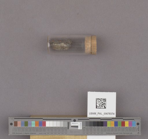 NSF ADBC EPICC TCN