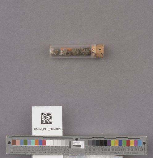 NSF ADBC EPICC TCN
