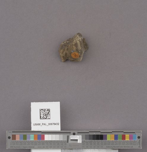 NSF ADBC EPICC TCN