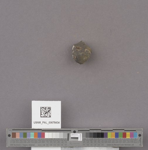 NSF ADBC EPICC TCN