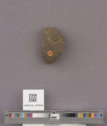 NSF ADBC EPICC TCN
