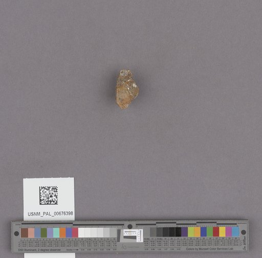 NSF ADBC EPICC TCN