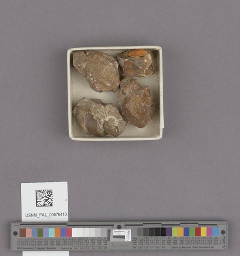 NSF ADBC EPICC TCN