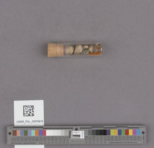 NSF ADBC EPICC TCN