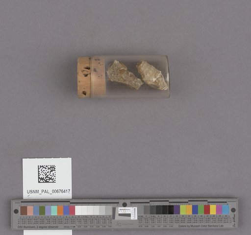 NSF ADBC EPICC TCN