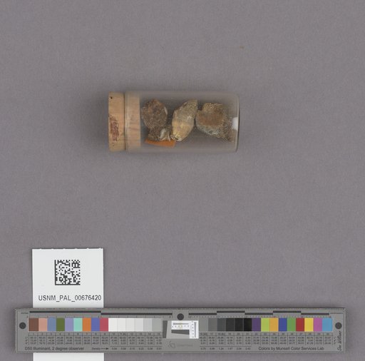 NSF ADBC EPICC TCN