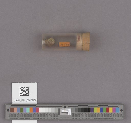 NSF ADBC EPICC TCN